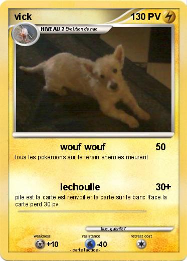 Pokemon vick
