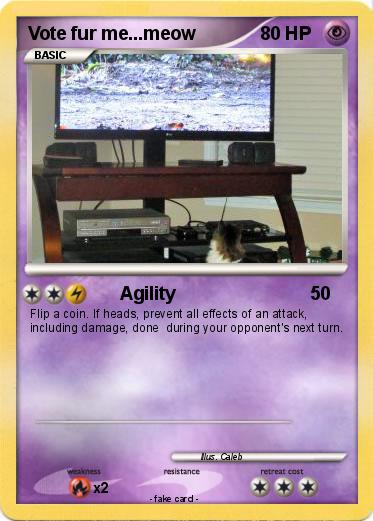 Pokemon Vote fur me...meow