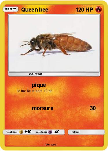 Pokemon Queen bee