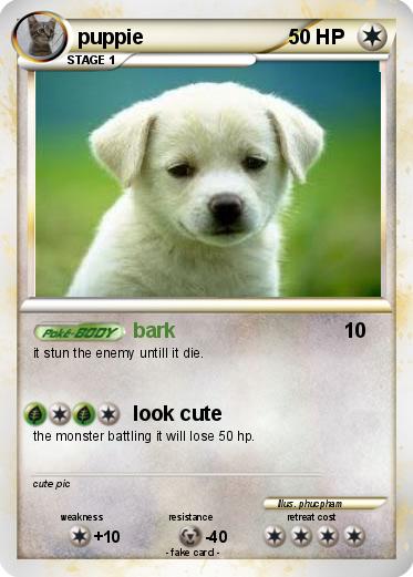 Pokemon puppie