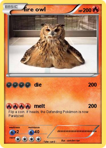 Pokemon fire owl
