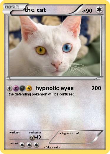 Pokemon the cat