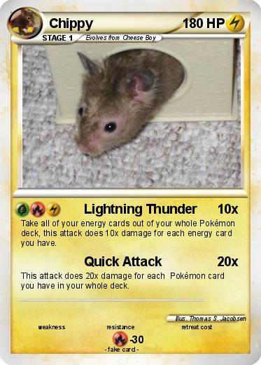 Pokemon Chippy
