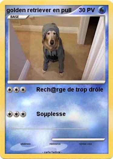 Pokemon golden retriever en pull