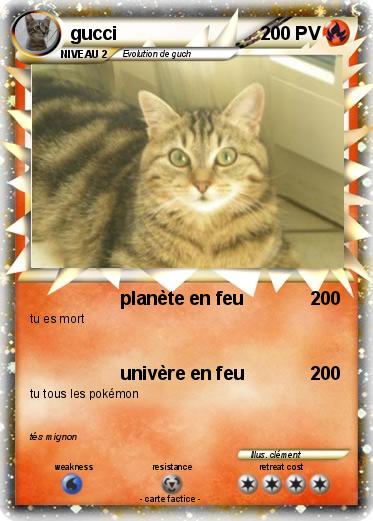 Pokemon gucci