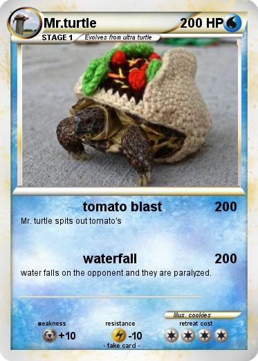 Pokemon Mr.turtle