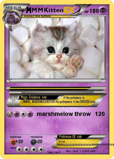 Pokemon MMKitten