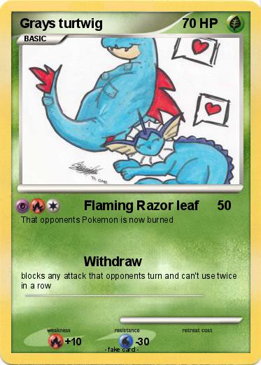 Pokemon Grays turtwig