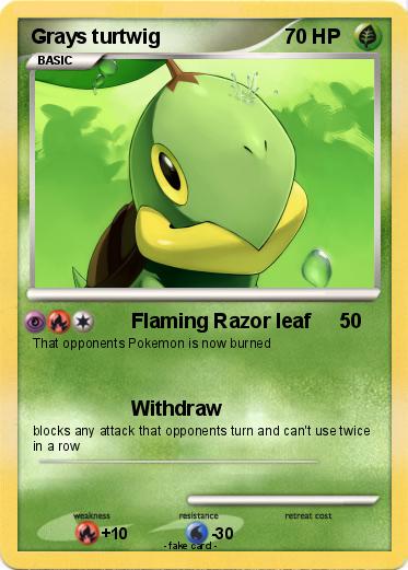 Pokemon Grays turtwig