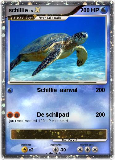 Pokemon schillie