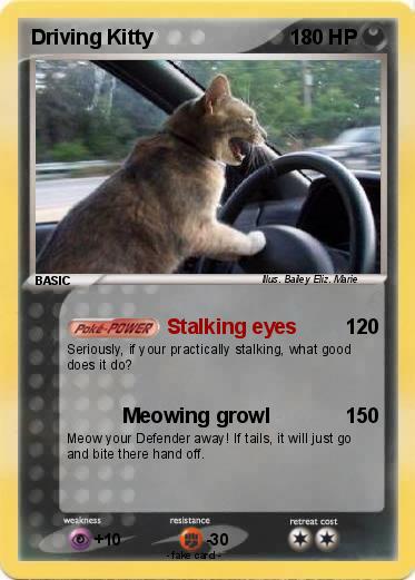 Pokemon Driving Kitty