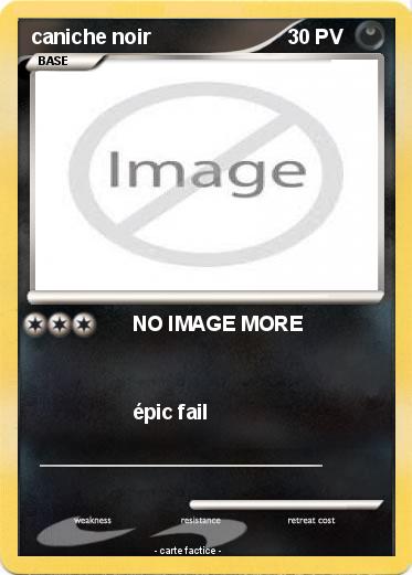 Pokemon caniche noir