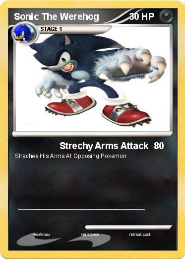 Pokemon Sonic The Werehog