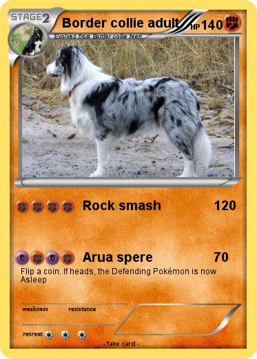 Pokemon Border collie adult