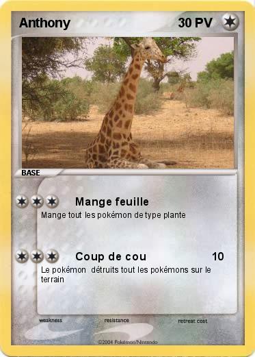 Pokemon Anthony