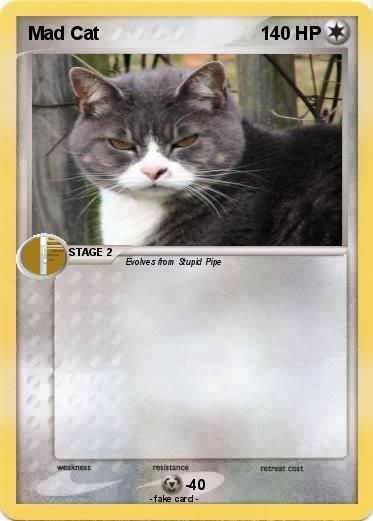 Pokemon Mad Cat