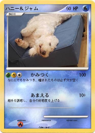 Pokemon ハニー＆ジャム