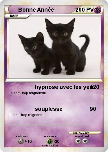 Pokemon Bonne Année