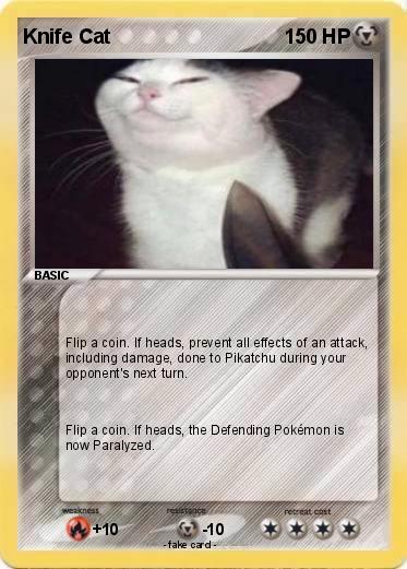 Pokemon Knife Cat