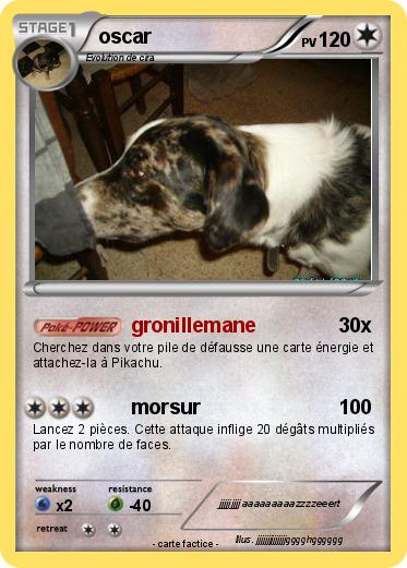 Pokemon oscar
