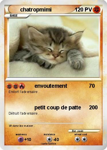 Pokemon chatropmimi