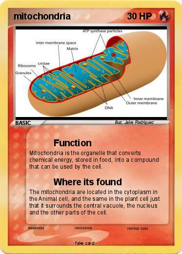 Pokemon mitochondria