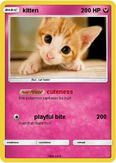 Pokemon kitten