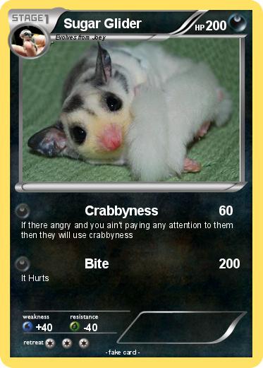 Pokemon Sugar Glider