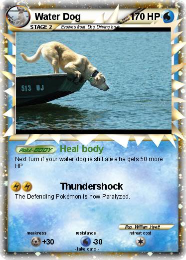 Pokemon Water Dog