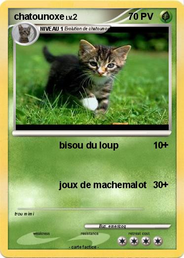 Pokemon chatounoxe
