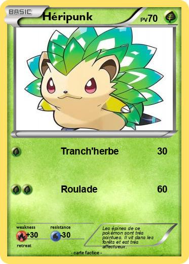 Pokemon Héripunk