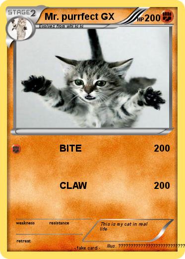 Pokemon Mr. purrfect GX