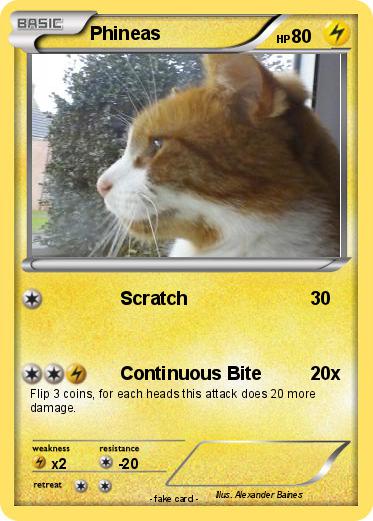 Pokemon Phineas