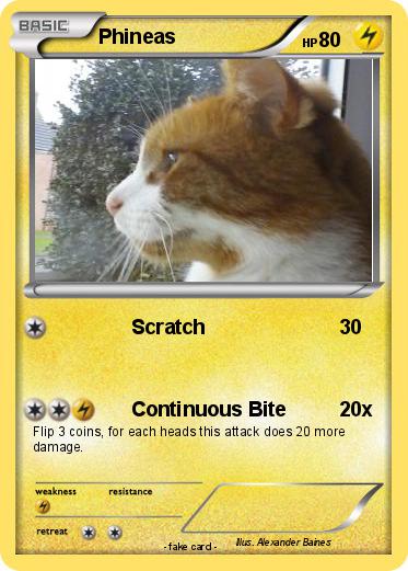 Pokemon Phineas
