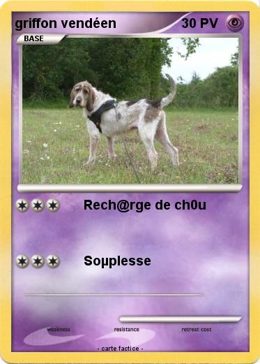 Pokemon griffon vendéen