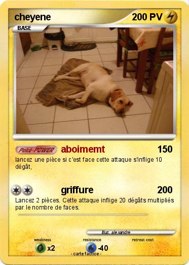 Pokemon cheyene