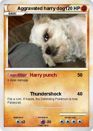 Pokemon Aggravated harry dog