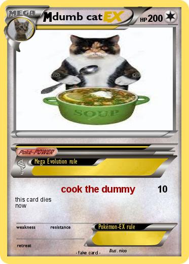 Pokemon dumb cat