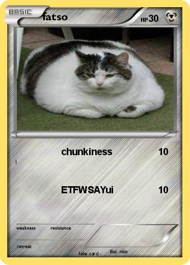 Pokemon fatso