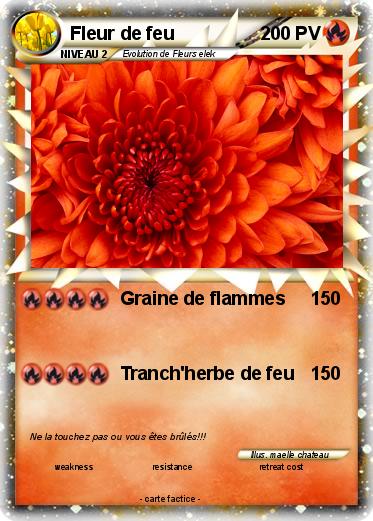 Pokemon Fleur de feu