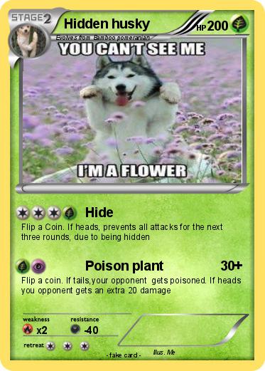 Pokemon Hidden husky