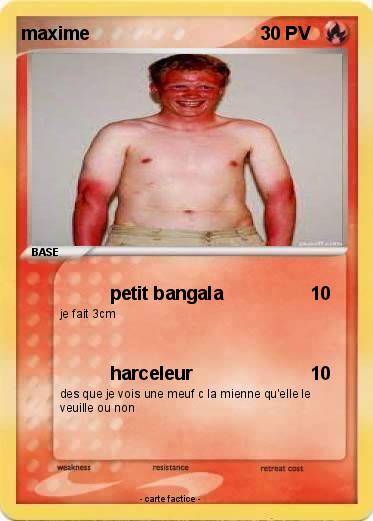 Pokemon maxime