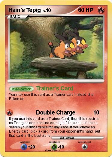 Pokemon Hain's Tepig