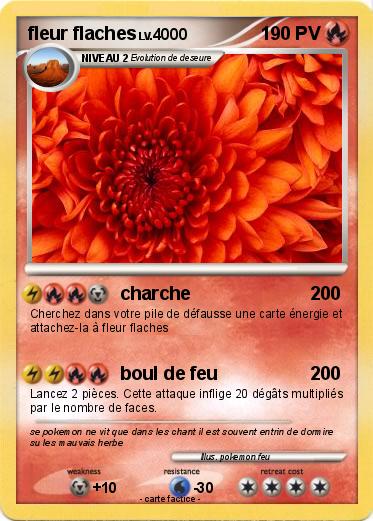 Pokemon fleur flaches