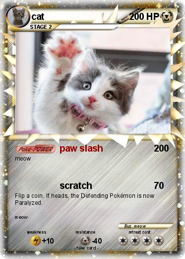 Pokemon cat