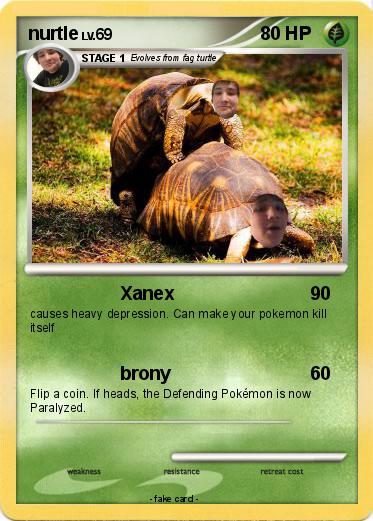 Pokemon nurtle