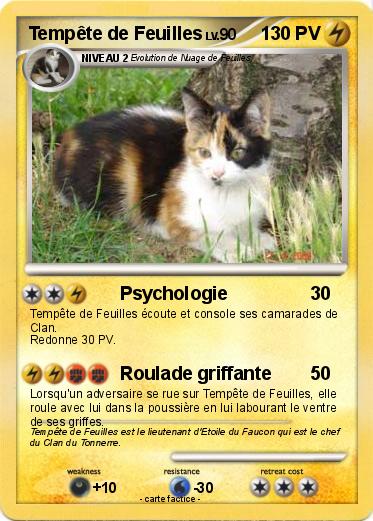 Pokemon Tempête de Feuilles