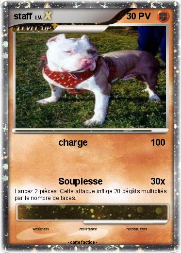 Pokemon staff