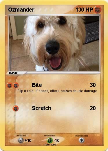 Pokemon Ozmander