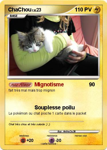 Pokemon ChaChou